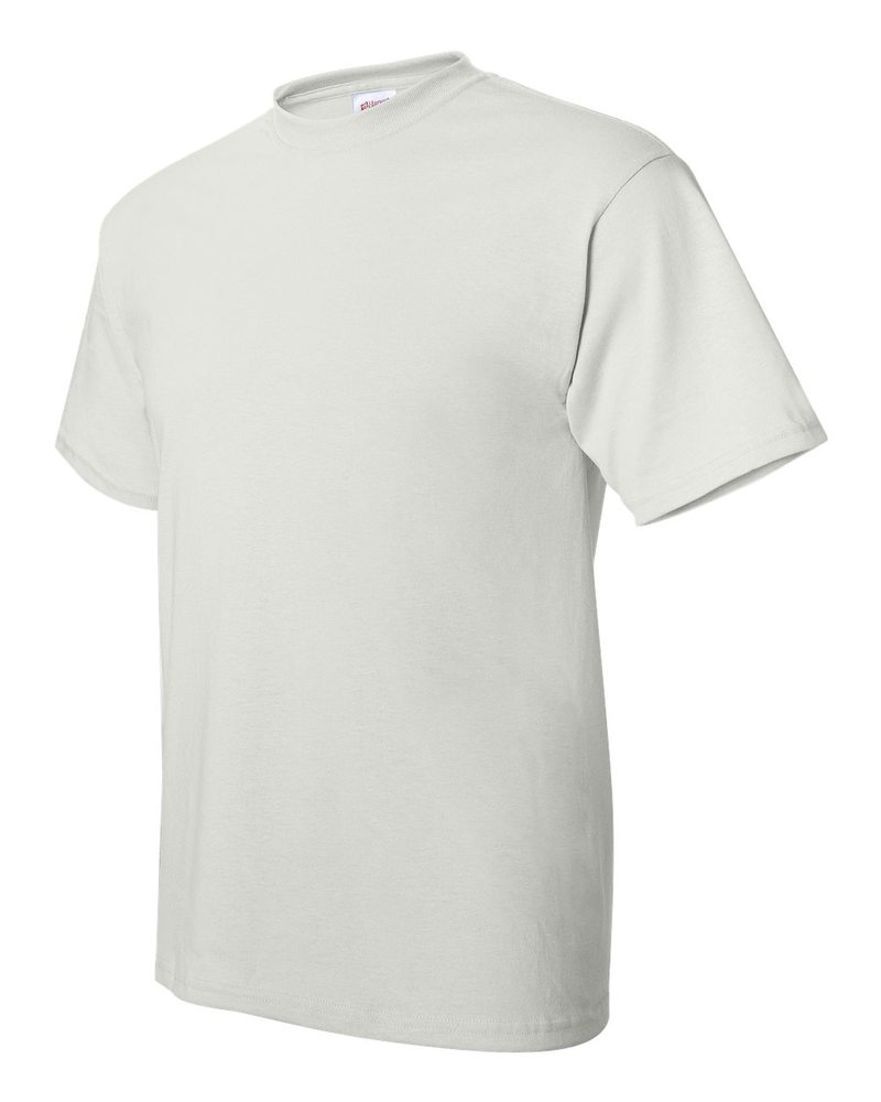 Hanes 5170 - ComfortBlend® EcoSmart® T-Shirt