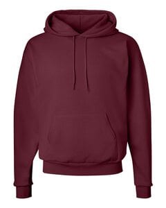 Hanes P170 - EcoSmart® Hooded Sweatshirt