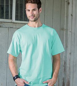 Hanes 5250 - Tagless® T-Shirt