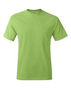 Hanes 5250 - Tagless® T-Shirt Cal
