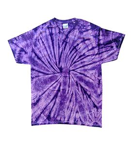 Colortone T1000Y - Remera teñida para niños Púrpura